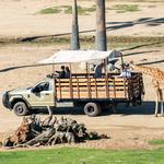 San Diego Zoo Safari Park