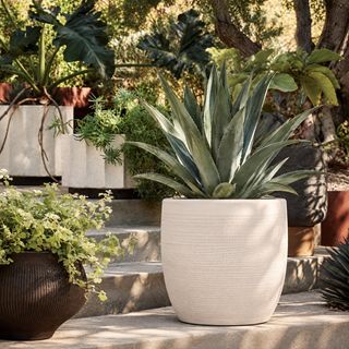 Embossed Stoneware Planter