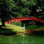 Fort Worth Botanic Garden