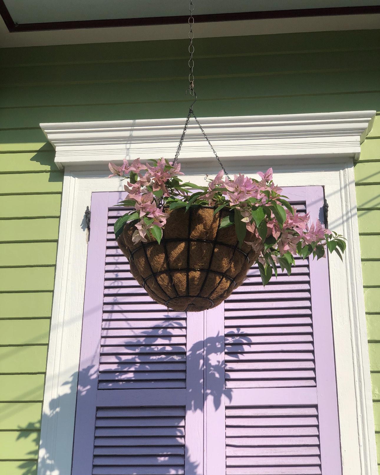 The Wedding Website of Allison Lazenby and Will Gibson