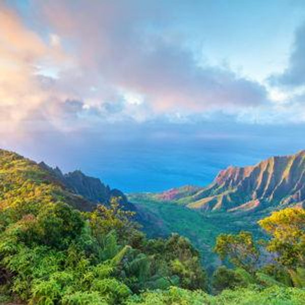 Honeymoon in Hawaii