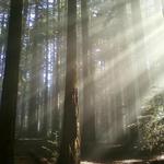 Joaquin Miller Park