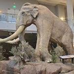 Museum of Idaho