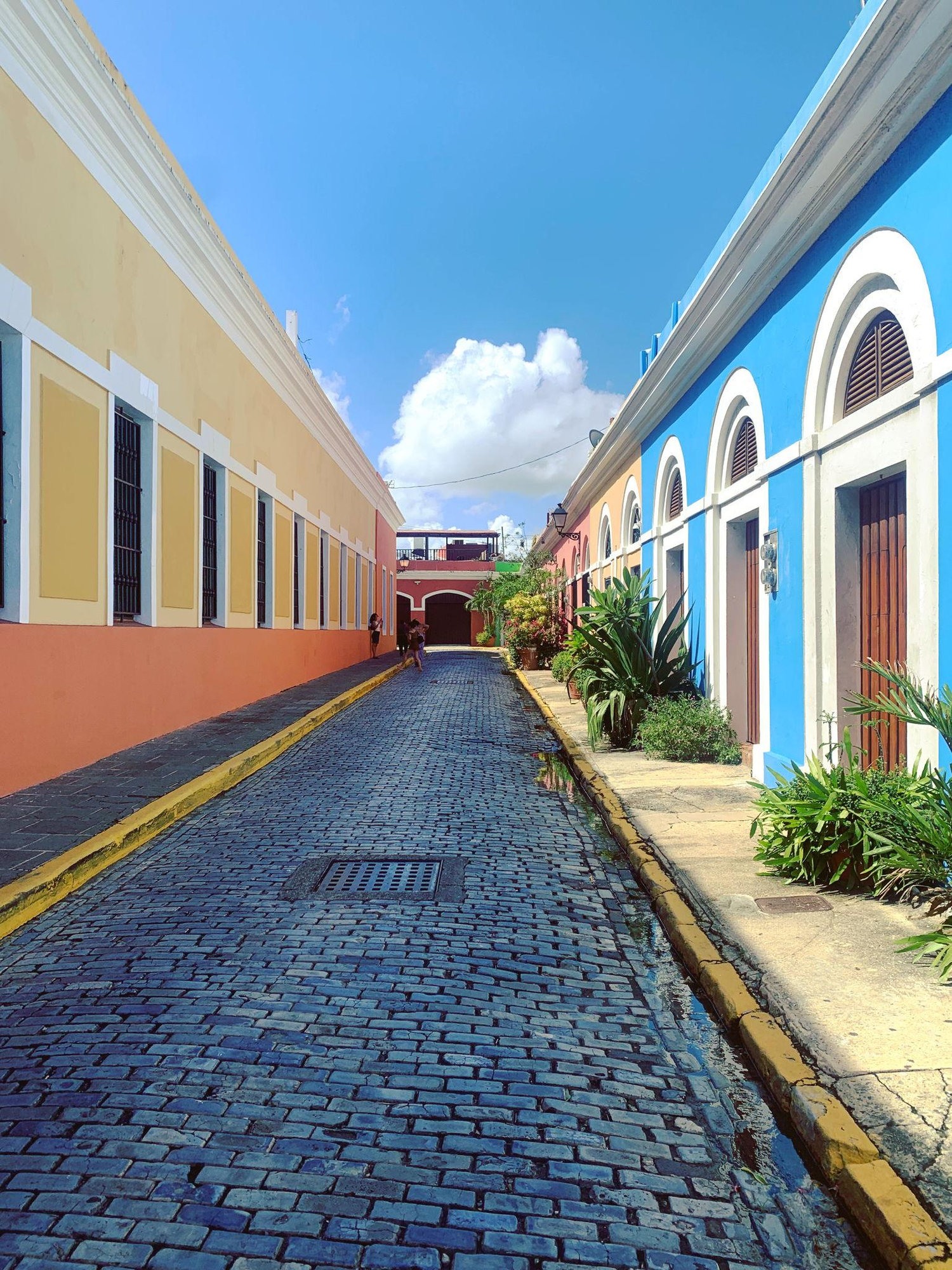 The Wedding Website of Carol D. Aponte and Wilbert M. Colón