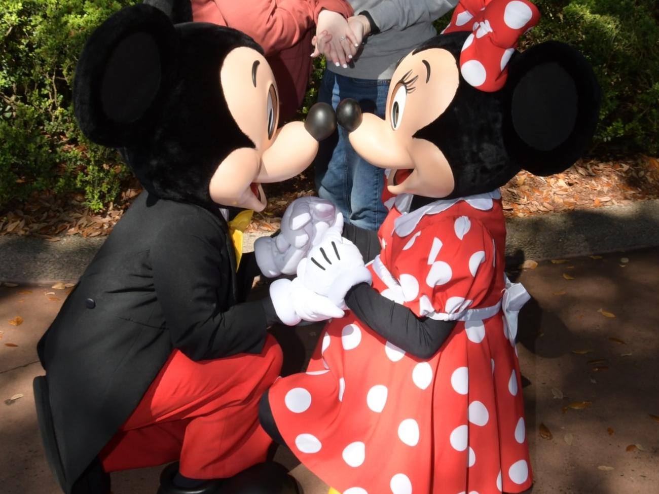 Our Dream Disney Honeymoon Fund!