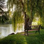 Walk the Boise River Greenbelt