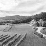 Vineyards