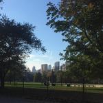 Central Park
