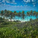 Isla Contoy