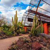 Desert Botanical Garden