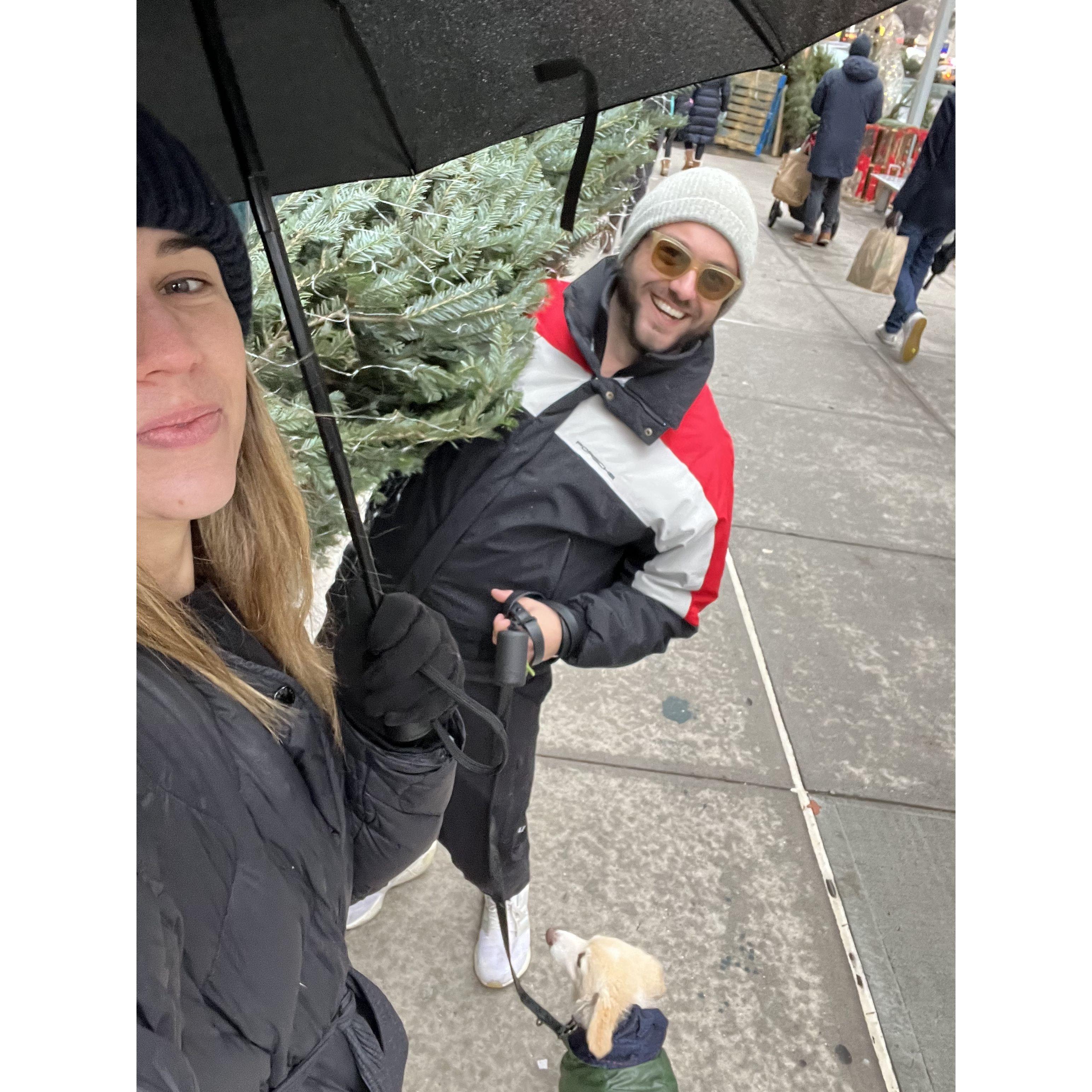 Christmas tree shopping UWS