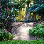 Marie Selby Botanical Gardens