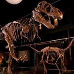 Houston Museum of Natural Science