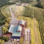 Carter Mountain Orchard and Country Store