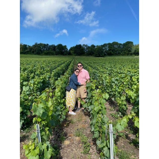 The vineyards in Champagne are gorgeous. And delicious!