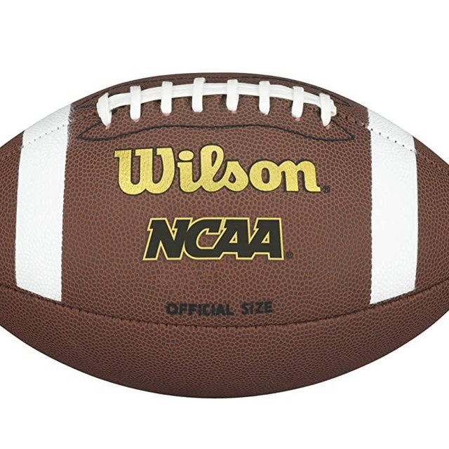 Wilson NCAA Composite Football
