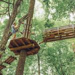 Go Ape Zipline and Adventure Park