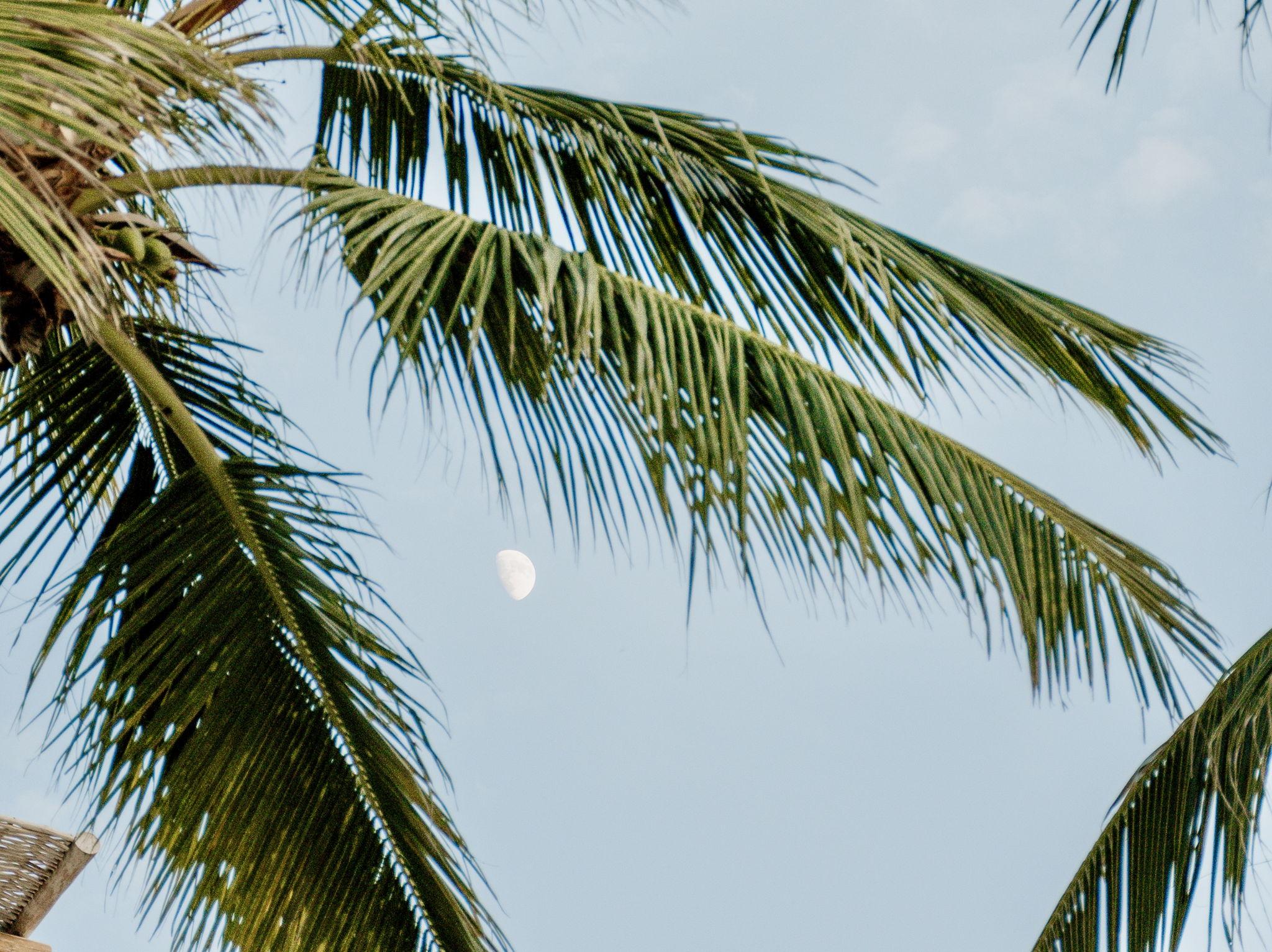 The Wedding Website of Michaela Atkinson and Patricio Garcia