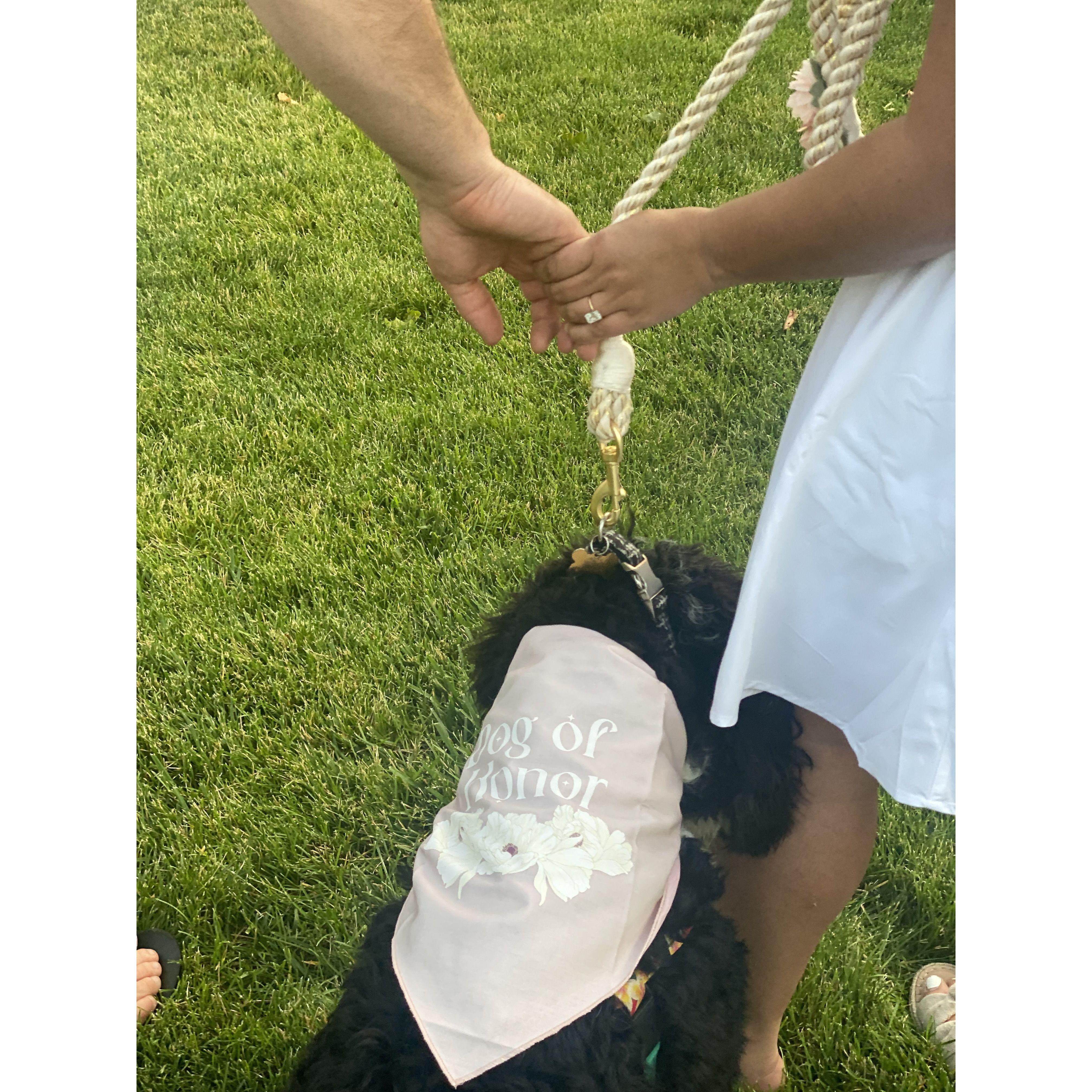 Gypsy’s parents are getting married!