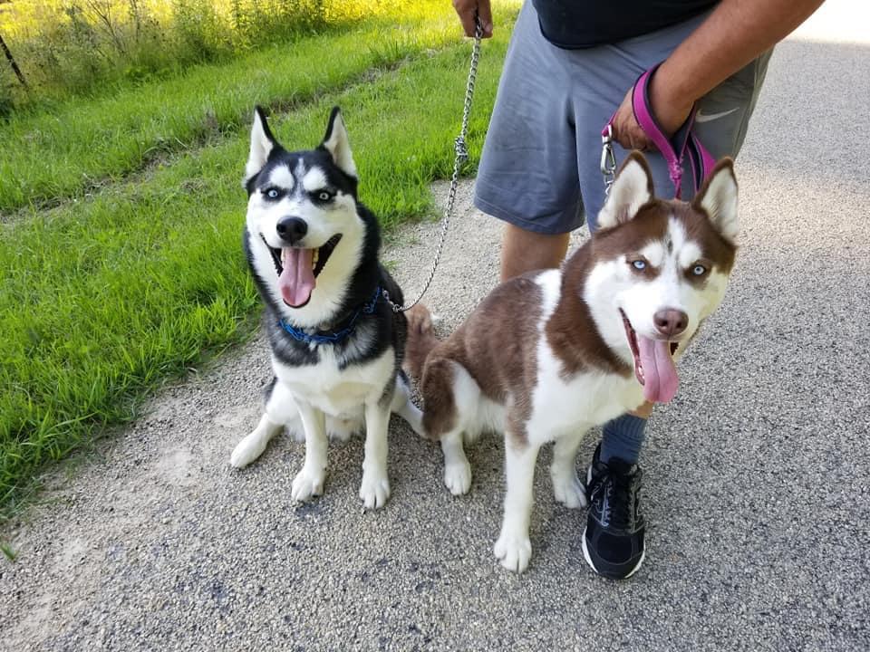 Remington and Blade
Pretty boys