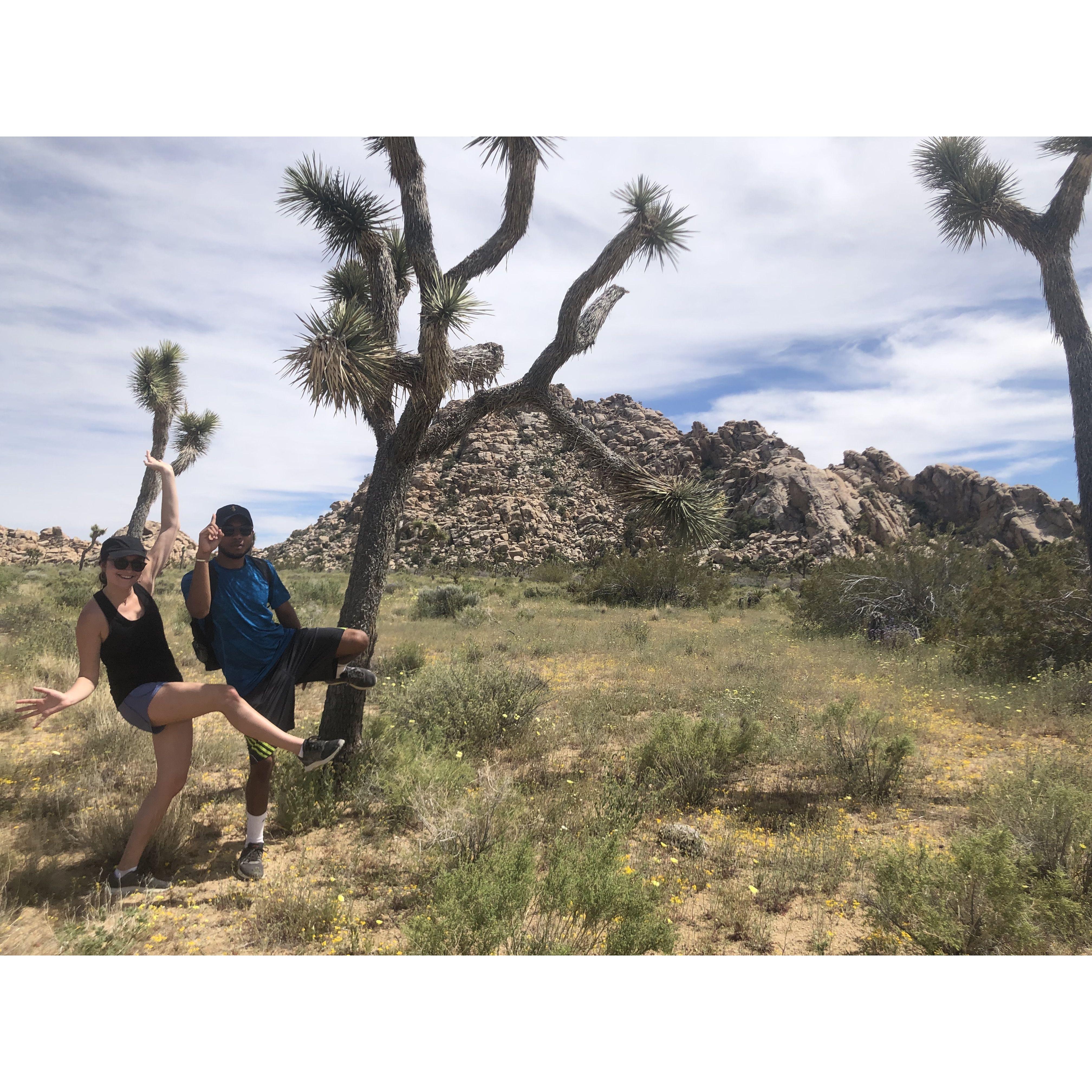Adventures