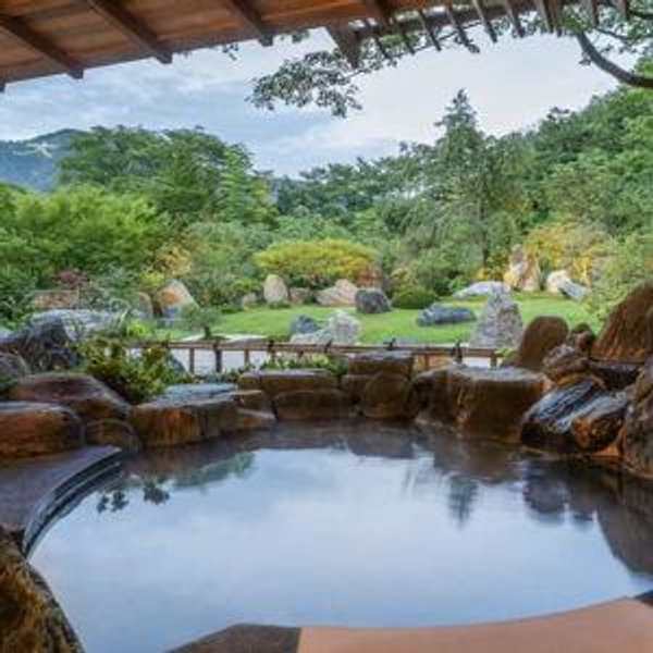 Japanese Ryokan & Hotels (honeymoon)