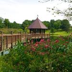 Meadowlark Botanical Gardens