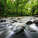 William B. Umstead State Park