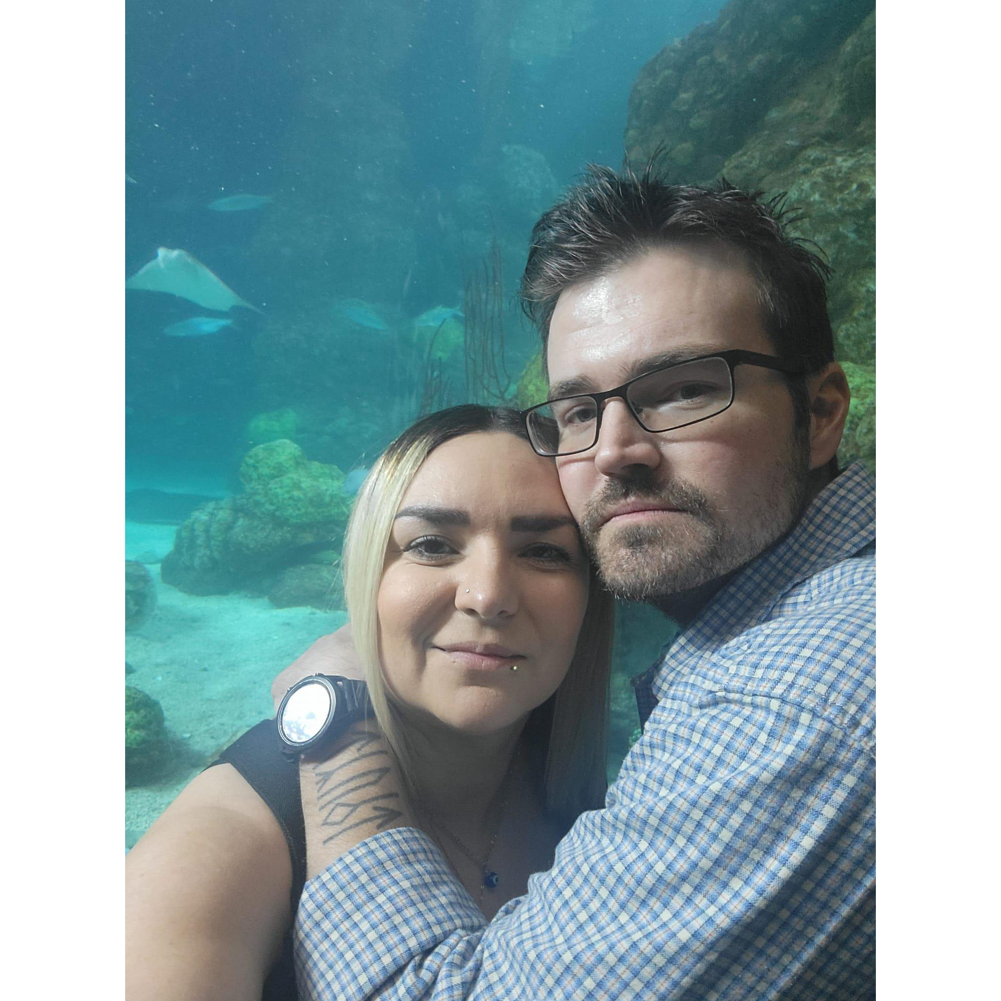 My first time at Denver Aquarium with Shawn and Michaela