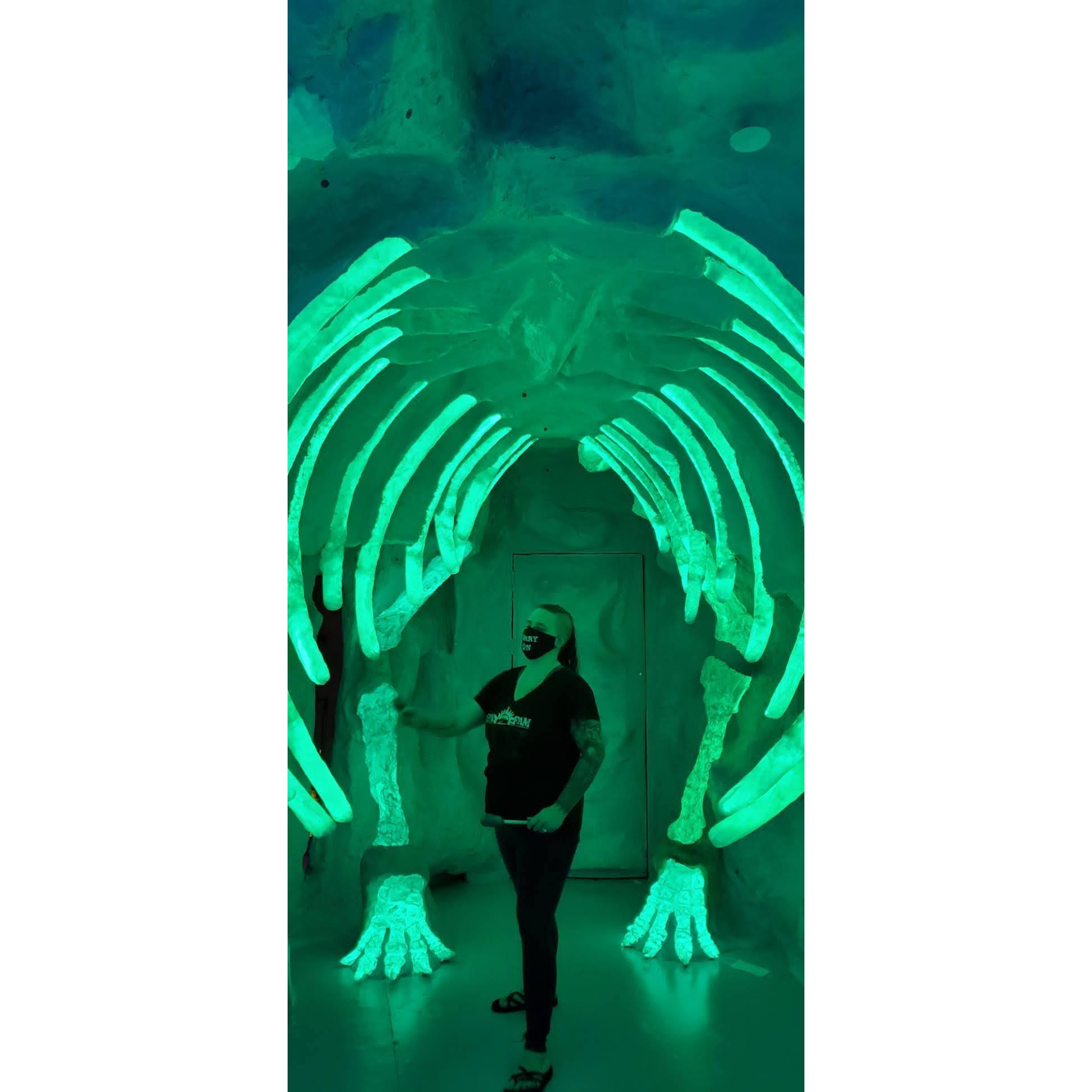Playing the drums on a dinosaur.