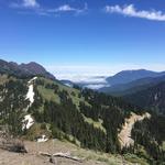 Hurricane Ridge