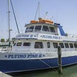 Flying Fish Fleet
