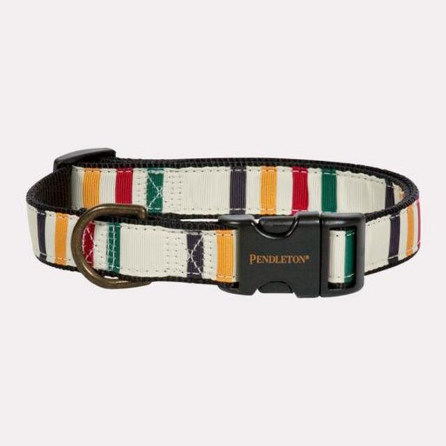 NATIONAL PARK HIKER DOG COLLAR MEDIUM
