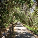 Ojai Valley Bike Trail