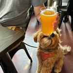 Groove Brewing