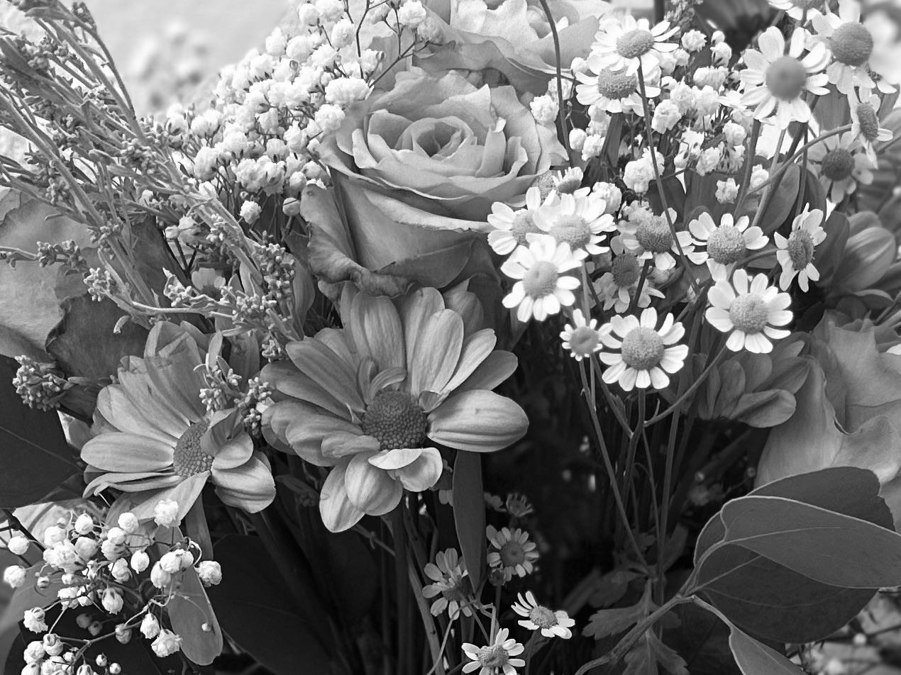 The Wedding Website of Chelsea Hall and Cory Laquay