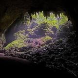 Parque Nacional de las Cavernas del Río Camuy