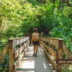 Tryon Creek State Natural Area