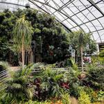 Krohn Conservatory