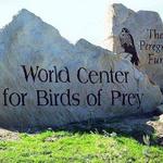 The Peregrine Fund's World Center For Birds of Prey