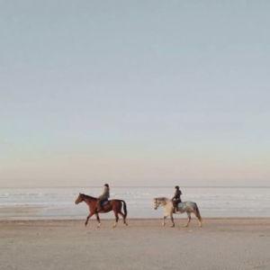 Horseback Riding on Our Honeymoon