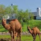 The Farm At Walnut Creek
