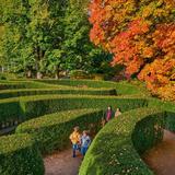 The Morton Arboretum