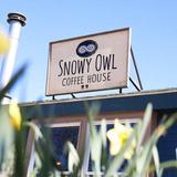 Snowy Owl Coffee House