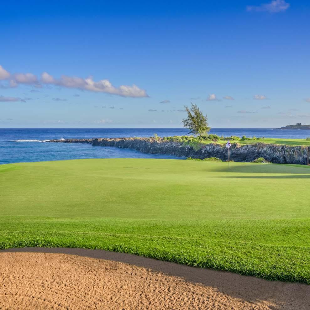 Golfing at Kapalua - Bay Course