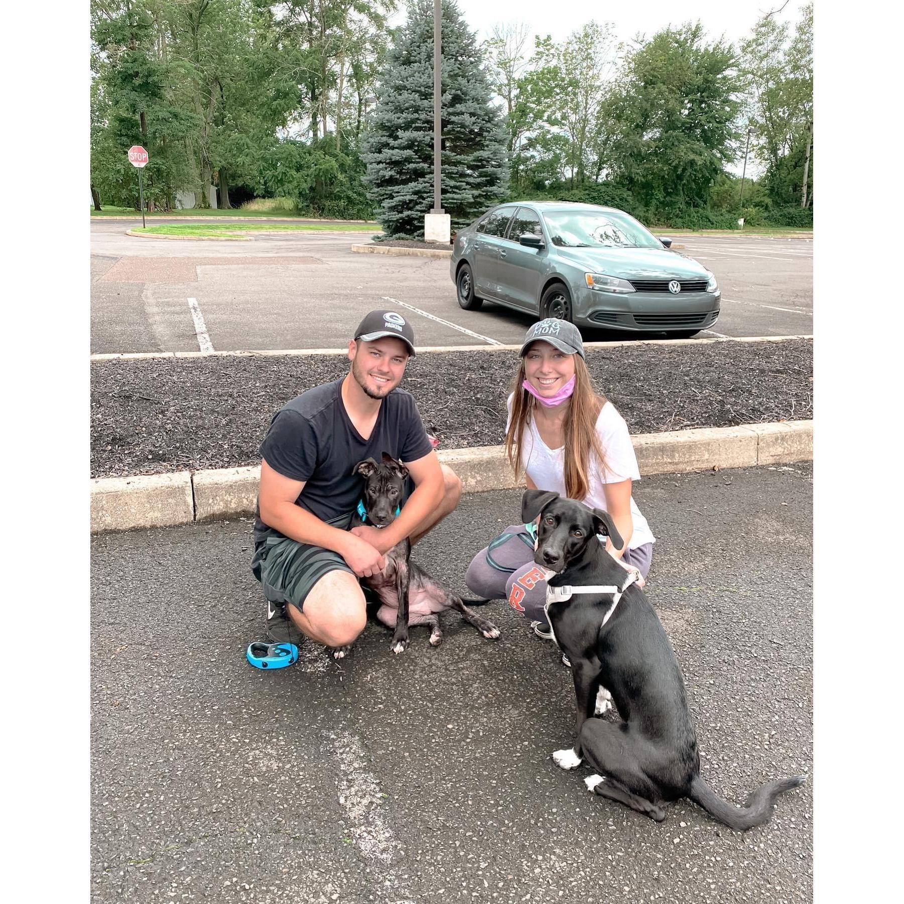 Rhino's adoption day 2020