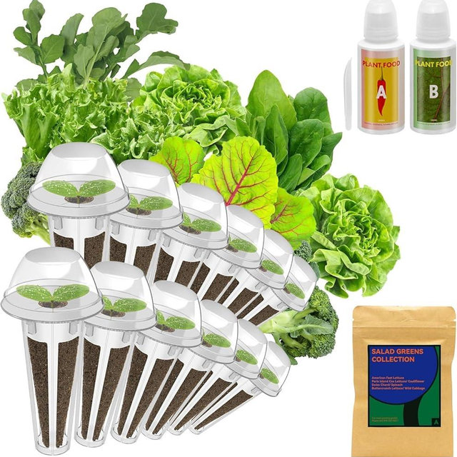 inbloom Salad Green Seed Pod Kit for Hydroponics Growing System, 12 Pods (350+ Seeds with American Fast/Paris Island/Buttercrunch Lettuce, Swiss Chard, Spinach, Cauliflower, and Wild Cabbage)