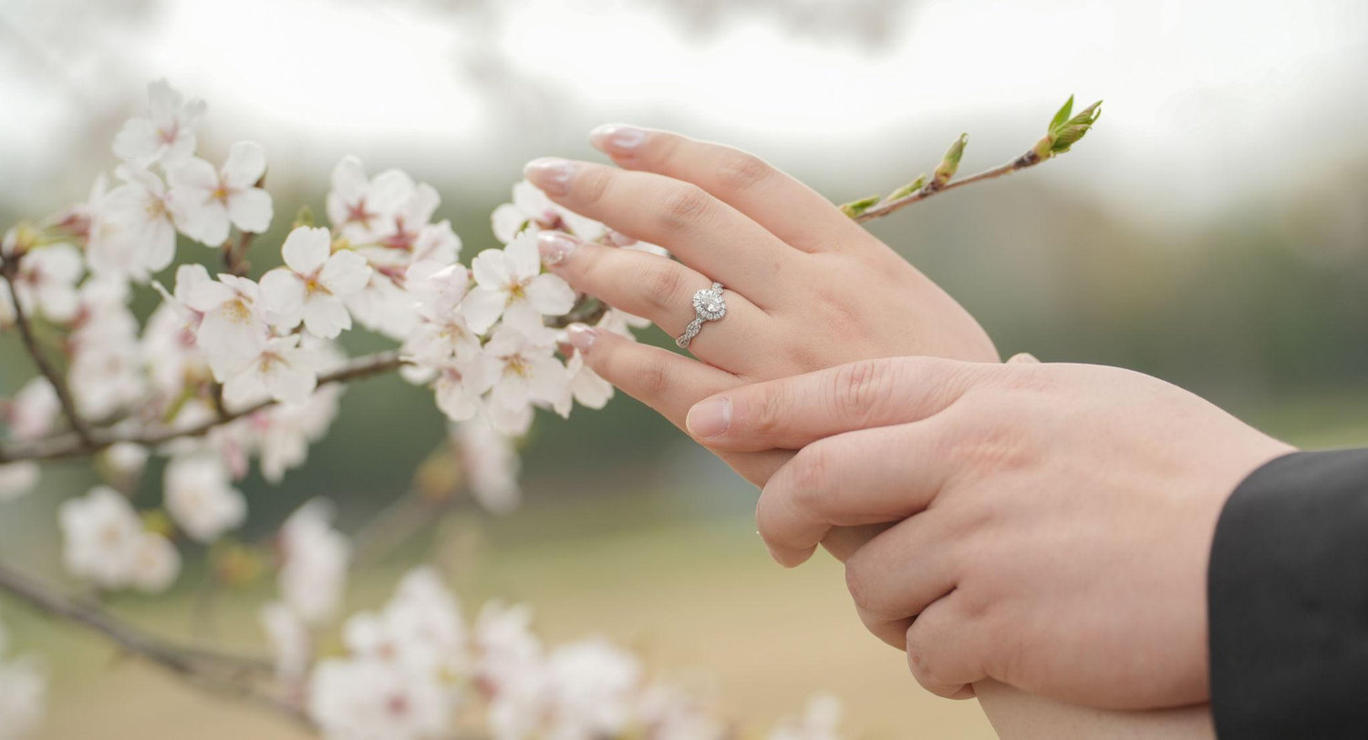 The Wedding Website of Sally Mai and Derek Kwan