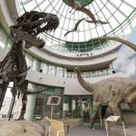 North Carolina Museum of Natural Sciences