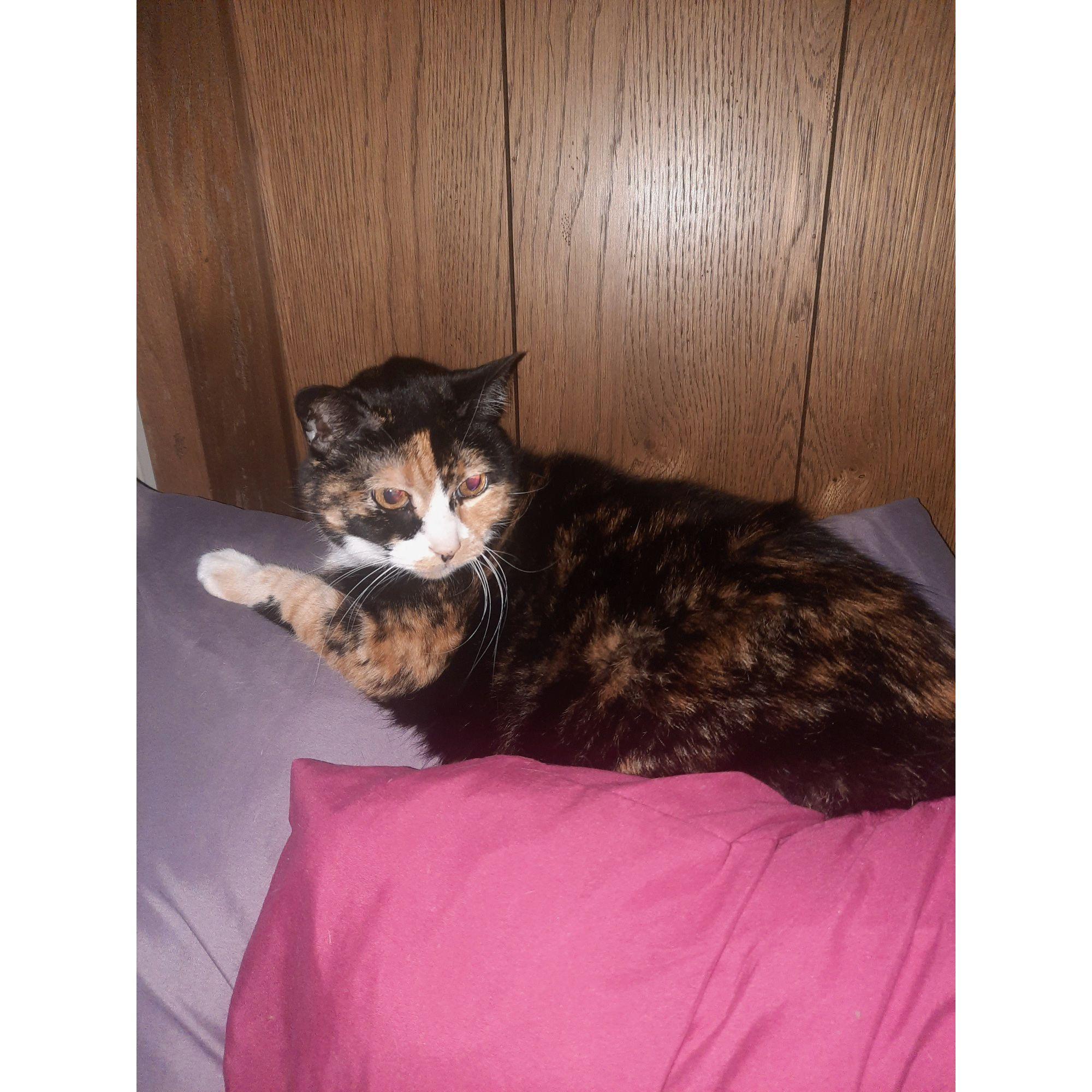 Miss Georgiana. Yes, this is the only way you'll ever see her. She likes only those she lives with. Everyone else is out to cause her harm, she's sure of it.